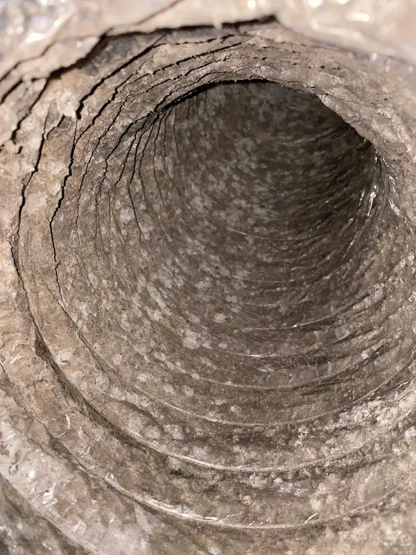 Before mold treatment- American Air Duct Services