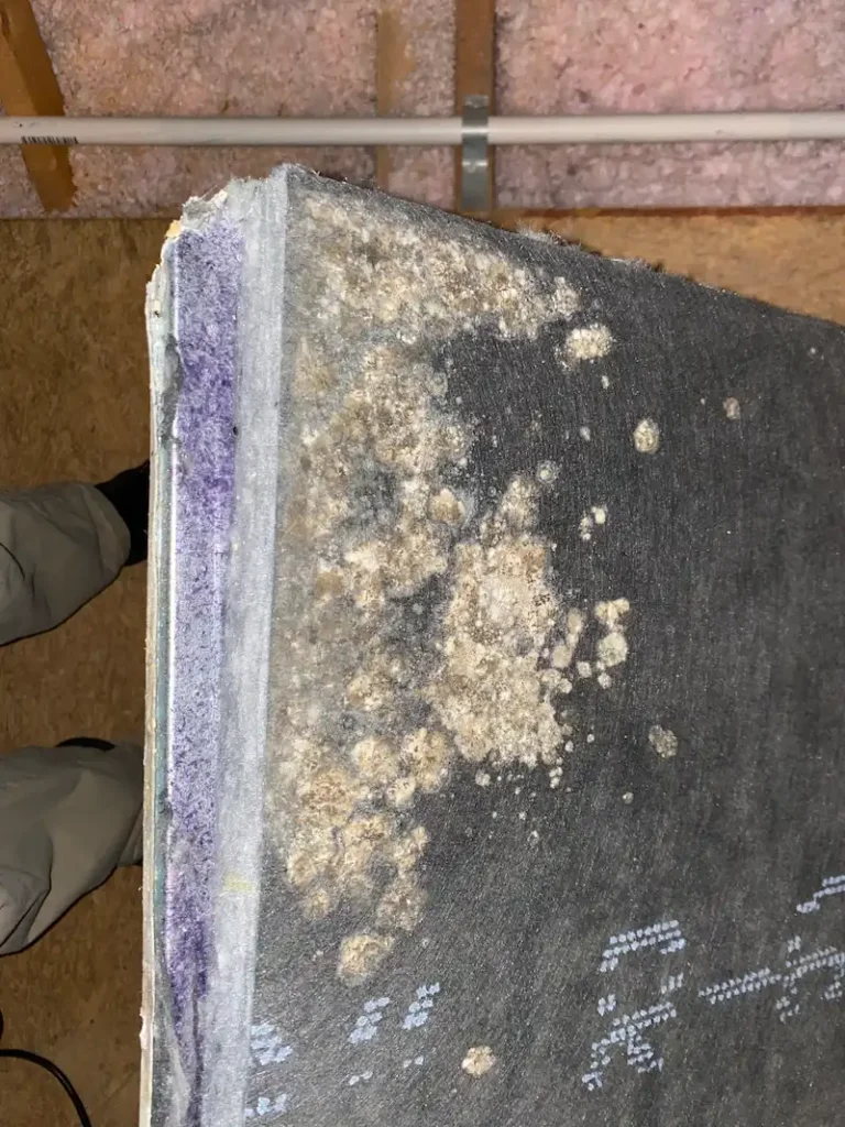 molds- American Air Duct